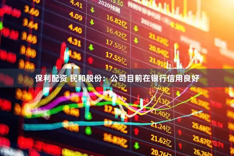 保利配资 民和股份：公司目前在银行信用良好