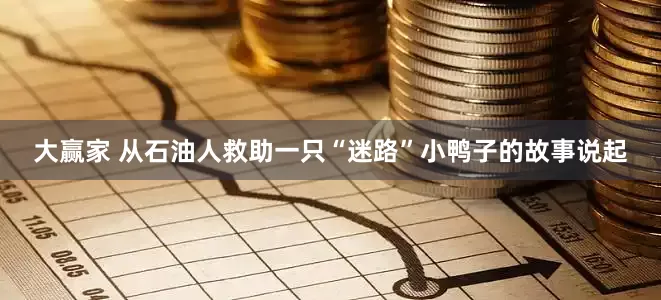 大赢家 从石油人救助一只“迷路”小鸭子的故事说起