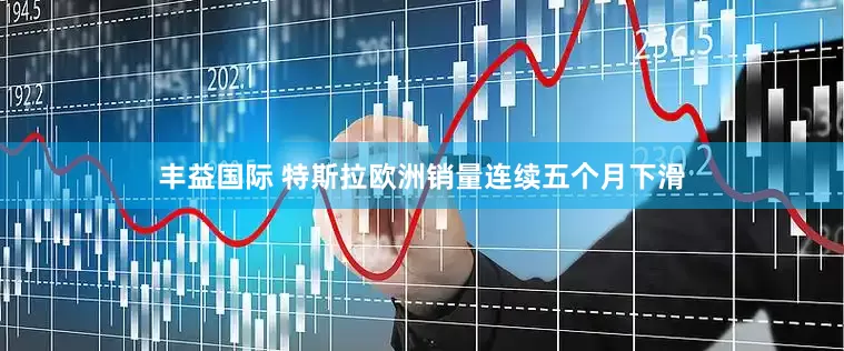 丰益国际 特斯拉欧洲销量连续五个月下滑