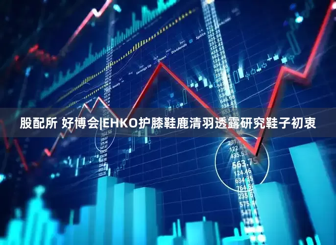 股配所 好博会|EHKO护膝鞋鹿清羽透露研究鞋子初衷