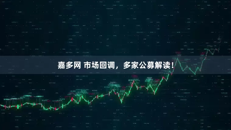 嘉多网 市场回调，多家公募解读！