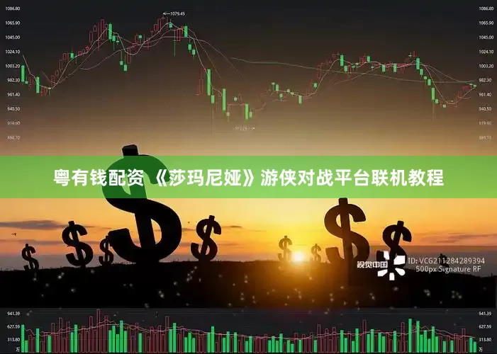 粤有钱配资 《莎玛尼娅》游侠对战平台联机教程
