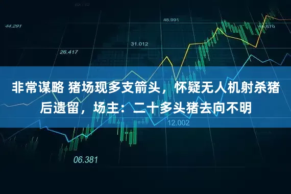 非常谋略 猪场现多支箭头，怀疑无人机射杀猪后遗留，场主：二十多头猪去向不明