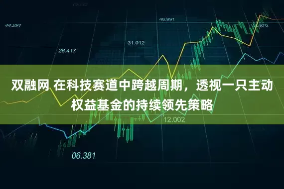 双融网 在科技赛道中跨越周期,透视一只主动权益基金的持续领先策略