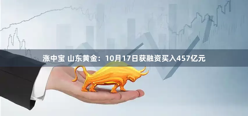 涨中宝 山东黄金：10月17日获融资买入457亿元